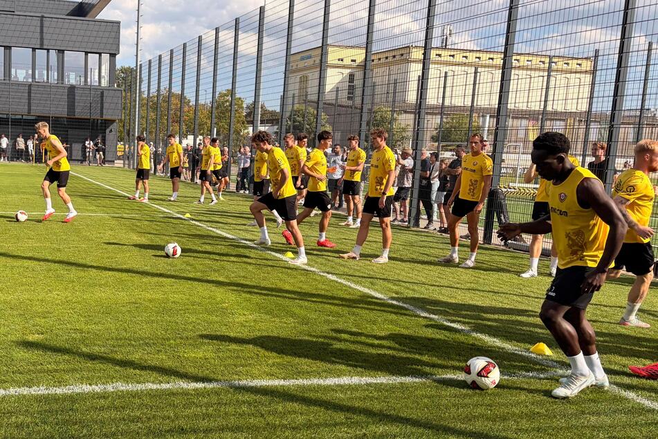 Die Ballgewöhnung ist in vollem Gange.