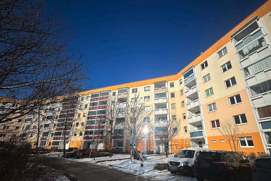 Die Familie hatte den Hund in ihrer Rostocker Wohnung vorübergehend in Betreuung.