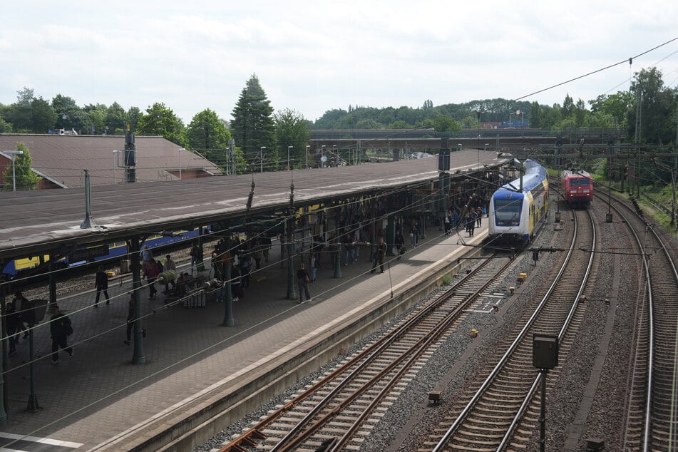 Zwischen dem Hauptbahnhof und Hamburg-Harburg fahren bald erstmal keine Züge mehr. (Archivbild)
