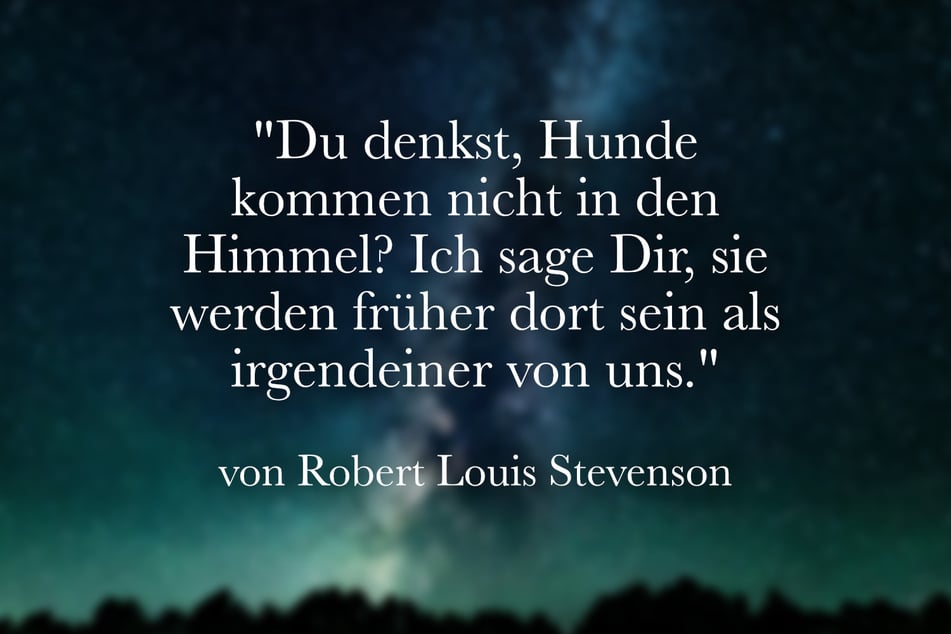 Zum Verlust eines Hundes passt das Zitat von Robert Louis Stevenson.