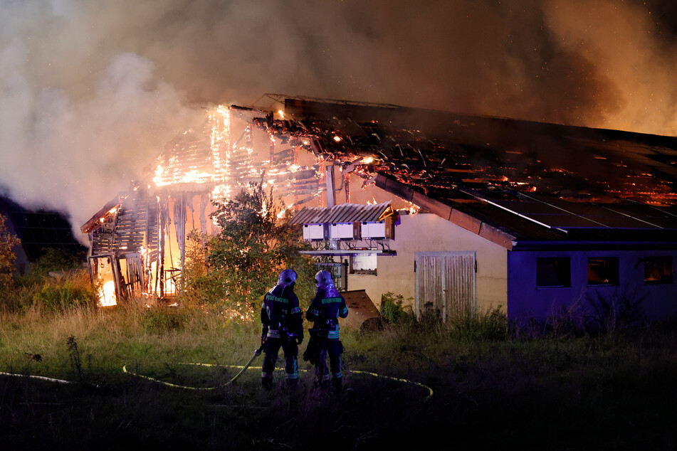 Die Feuerwehr ließ das Gebäude kontrolliert abbrennen, schützte dabei angrenzende Felder vor der Flammen-Hölle.