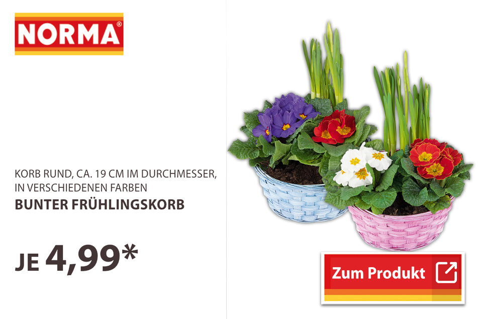 Bunter Frühlingskorb