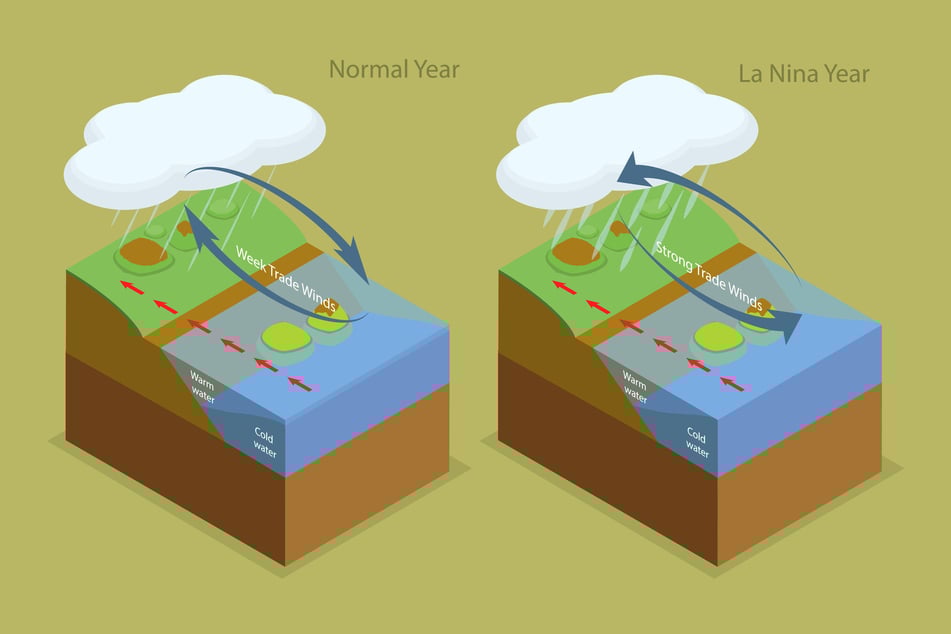 An illustration depicts conditions during normal vs. La Niña years.
