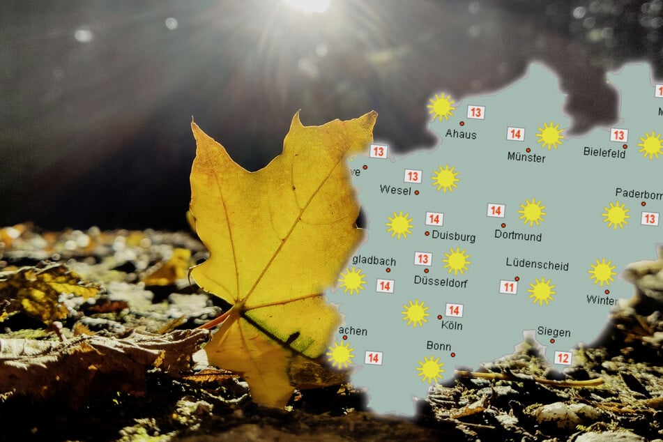Goldener Oktober am Sonntag, ab Montag bewölkt und etwas Regen