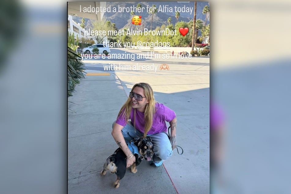 Čtyřnohý pochází z kynologického zprostředkování.