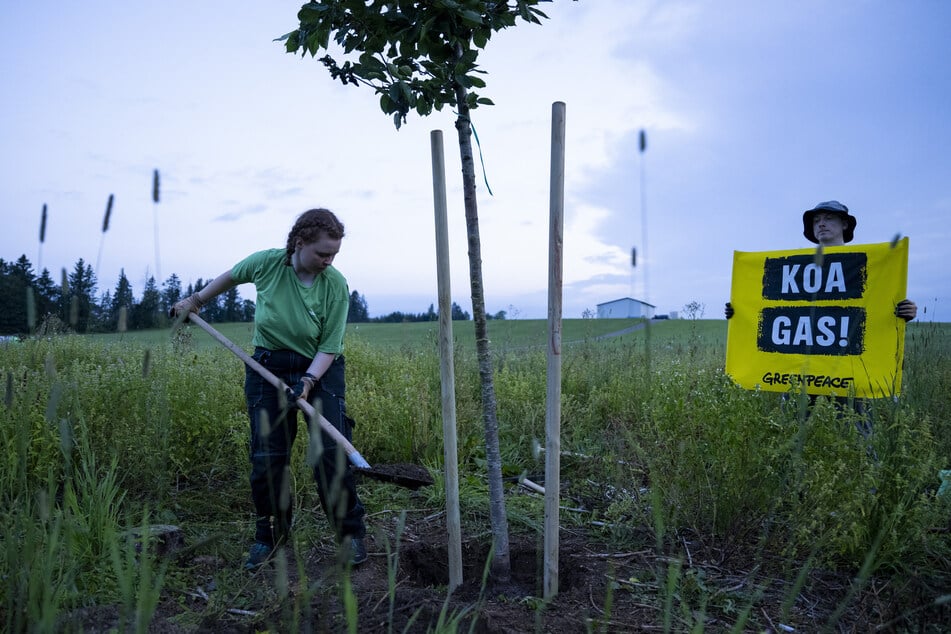 Aktivisten der Umweltschutz-Organisation Greenpeace pflanzen aus Protest gegen Gasbohrungen Bäume auf dem geplanten Bohrfeld unweit des Ammersees.