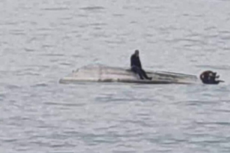 Gegen Wal gekracht? Fünf Menschen sterben bei Bootsunglück
