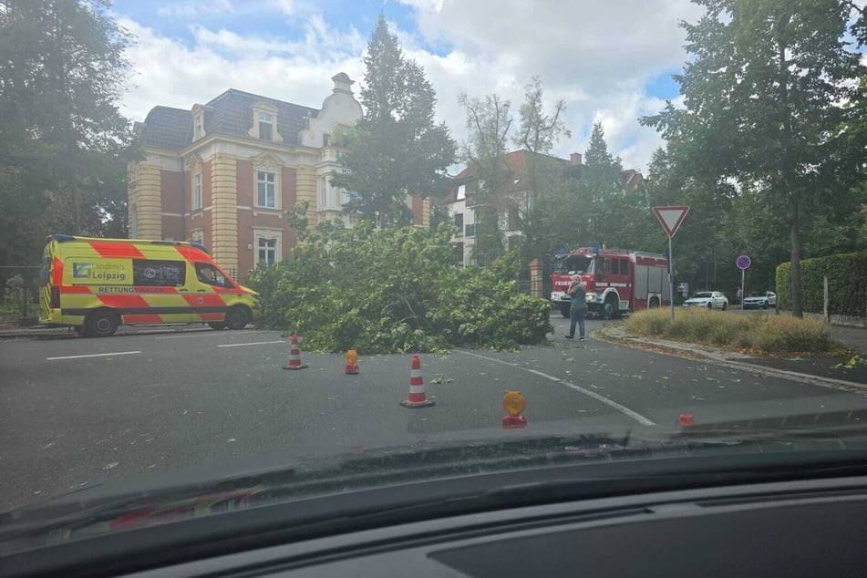 In Markkleeberg blockierte ein Baum die Fahrbahn.