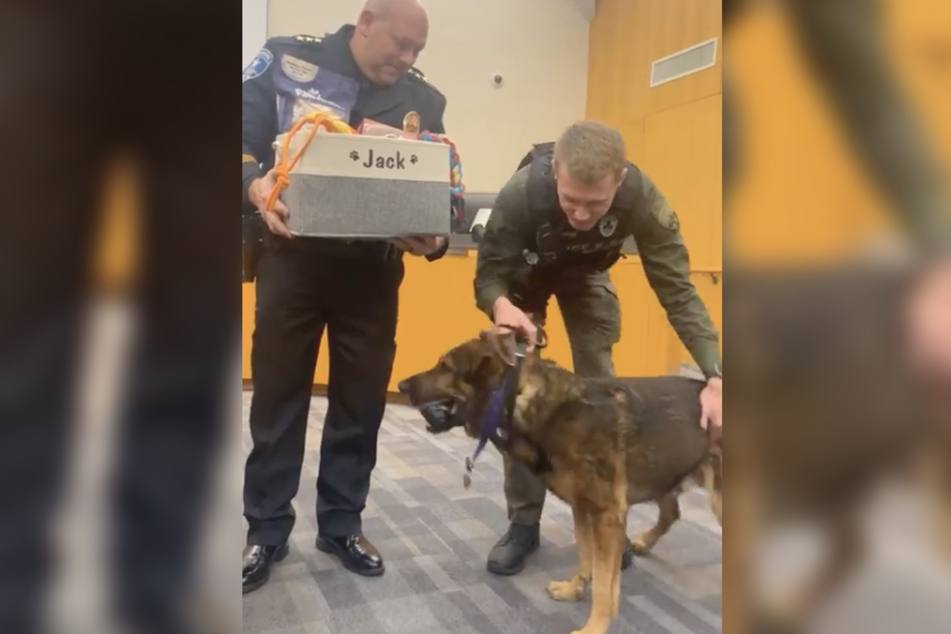 This K-9 police dog looked pretty pleased to get a box of treats!