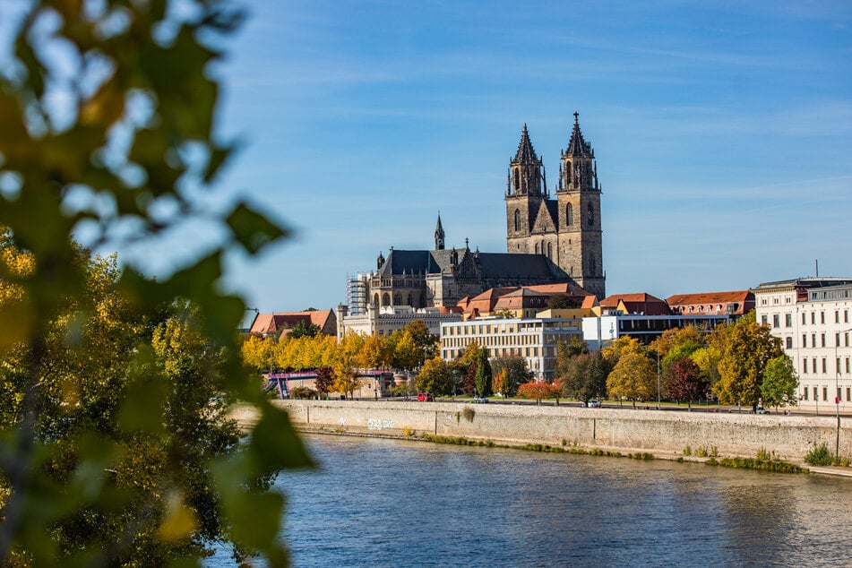 In Magdeburg werden 2027 Spiele der Handball-WM stattfinden.