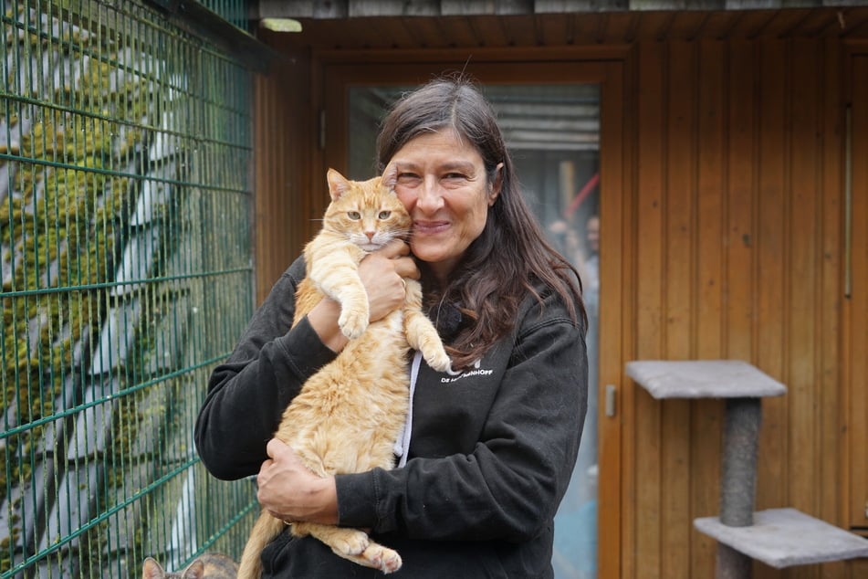 2005 hat Ärztin Dr. Usha Peters den "De Hun'nenhoff" aufgrund ihrer eigenen Rolli-Hündin gegründet. Auf dem Hof leben aber nicht nur Hunde, sondern auch Katzen wie Kater Wurzel aus Rumänien. "Ich liebe alle Tiere", so Peters gegenüber TAG24.