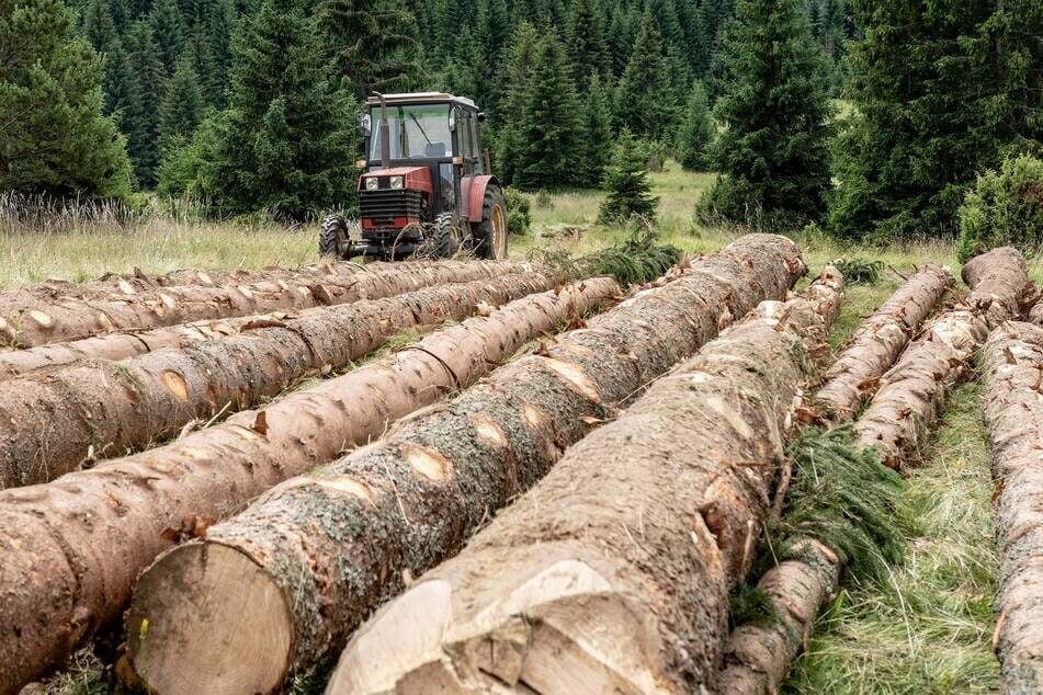 Traktor kippt um kracht auf Mann: 69-Jähriger stirbt bei Waldarbeiten, Kripo ermittelt
