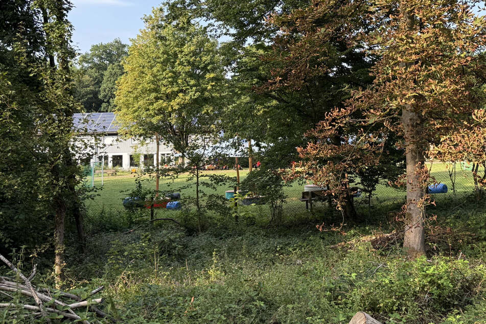 Der tote Mann lag in einem Wald im Kreis Göppingen.