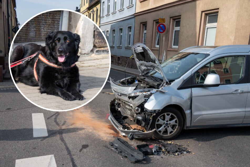 Ford kracht nach Kreuzungscrash gegen Hauswand und Stromkasten
