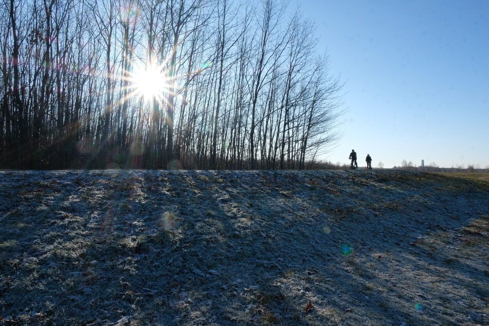 Sonnenschein und blauer Himmel am Cospudener See bei Leipzig: Sachsen kann sich auf eine richtige Frühlingswoche freuen.