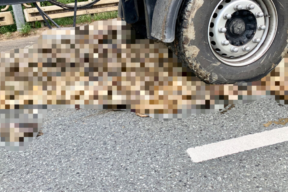 Das Foto zeigt die Kadaver unter dem Lastwagen, eventuell handelt es sich dabei um Innereien.