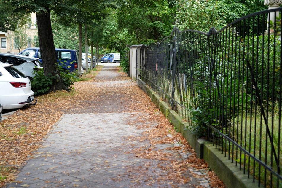In der Reinickstraße kam es am Wochenende zu einem brutalen Angriff.