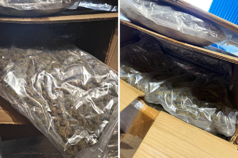 Die Päckchen sollen rund 80 Kilogramm Marihuana enthalten haben.