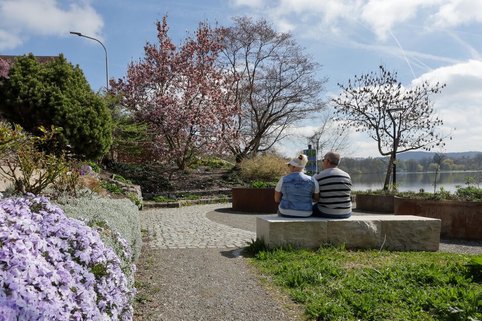 In Köln und NRW zeigt sich der Frühling in den kommenden Tagen von seiner freundlichen Seite. (Symbolfoto)