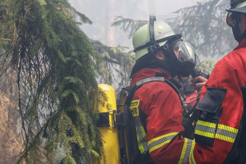 Waldbrand außer Kontrolle! Tausende Quadratmeter in Flammen, erste Evakuierungen