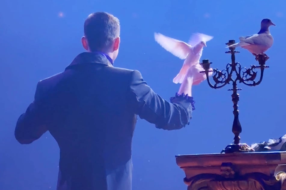 Malte Zierden: Wegen "Zauberei" mit Tieren: Influencer beschert Circus heftigen Shitstorm