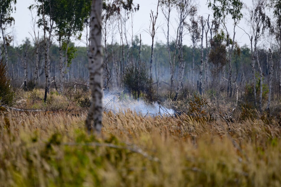 Stärkere Winde könnten die Feuer anfachen.