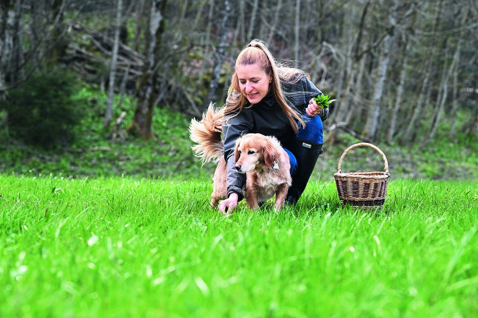Beim Spazierengehen mit ihren Hunden sammelt Stefanie Hertel gerne Kräuter.