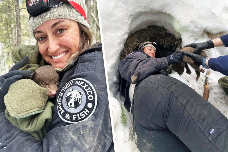 Nicht jeder Arbeitstag endet kopfüber in einer Schneehöhle, aber was tut man nicht alles, um für ein paar Minuten einen kleinen Bären in den Armen zu halten.