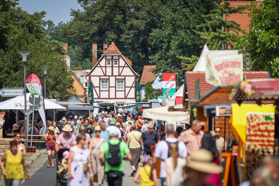 Klein, aber oho: das Elbhangfest.