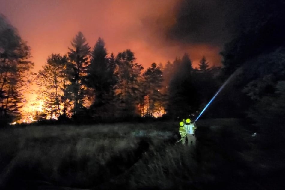Insgesamt stehen fünfeinhalb Hektar Wald und Moor in Brand.