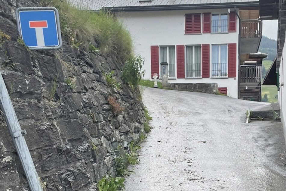 Sohn findet Mutter leblos auf Straße: Kuhherde trampelt Frau zu Tode