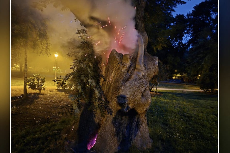 Der Baum wurde in Brand gesteckt. Nun muss er gefällt werden.