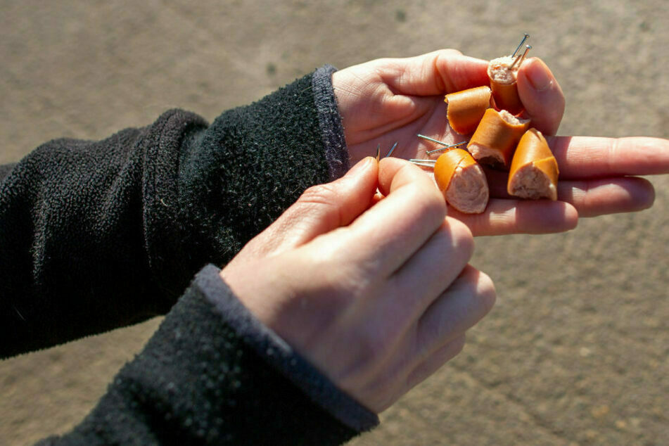 Der mutmaßliche Hundehasser legte in Schönheide mit Nägeln gespickte Hundeköder aus. (Symbolbild)