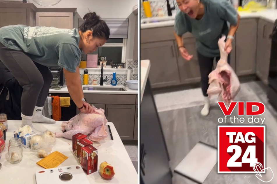 Today's Viral Video of the Day is the perfect reminder not to play with your Thanksgiving turkey before you cook it!