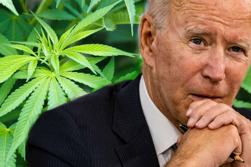 Up in smoke: Why is Biden reluctant to embrace legal weed?