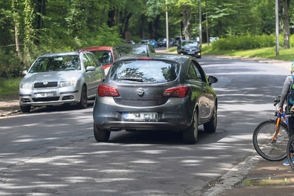 Im Waldpark Blasewitz darf seit einem Jahr wieder geparkt werden. Der Stadtbezirksbeirat sprach sich jetzt dagegen aus.