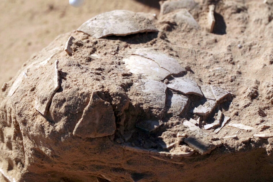 Insgesamt acht jahrtausendealte Straußeneier sind in der israelischen Negev-Wüste entdeckt worden.