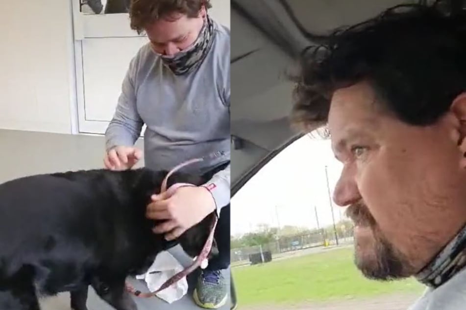 Herrchen bekommt Hund nach zehn Monaten endlich zurück: Mit seiner Reaktion trifft er viele ins Herz