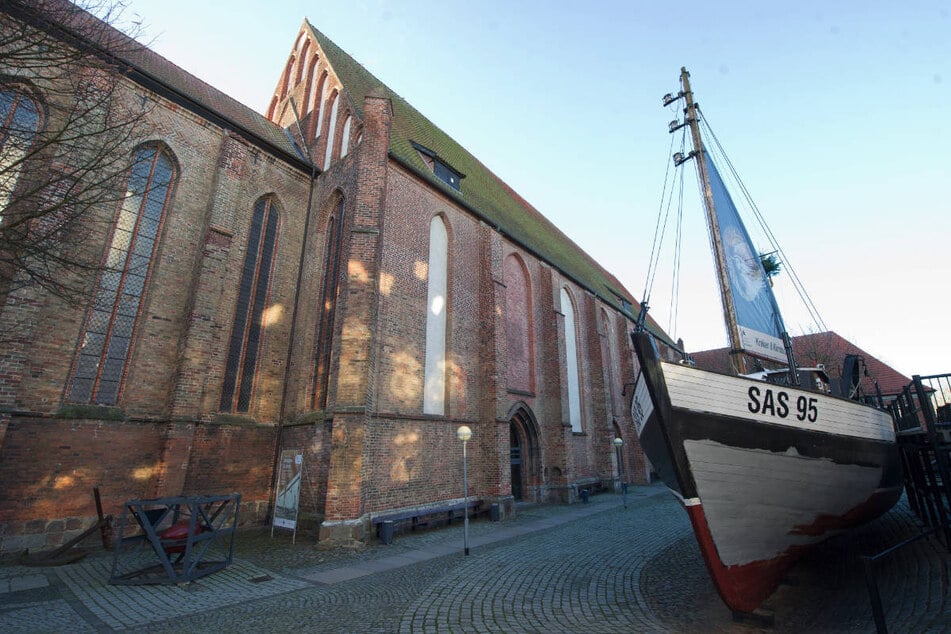 Um die Ursache für das Robben-Sterben zu ergründen, sind mehrere Tiere am Deutschen Meeresmuseum in Stralsund seziert worden. (Archivfoto)