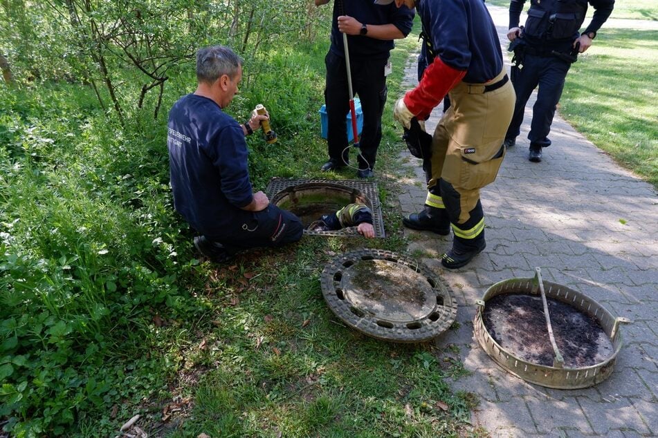 Eine Feuerwehrfrau stieg in den Abwasserkanal hinab.