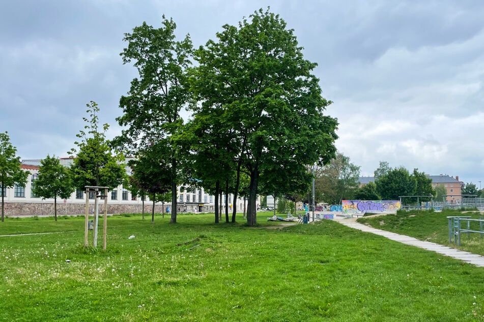 Im Konkordiapark sind am Freitagabend zwei Jugendliche von mehreren Personen attackiert worden.