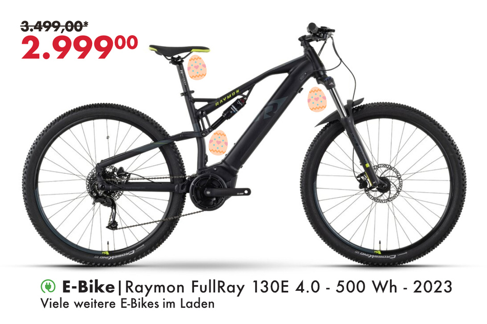 Raymon FullRay 130E 4.0
