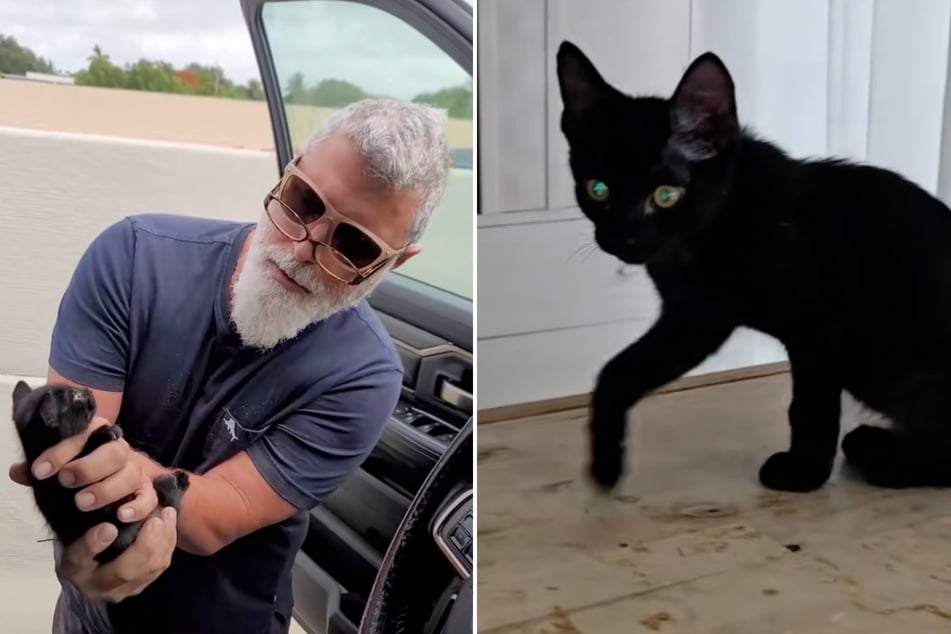 In de clip laat Franco Blanco zijn vrouw de kater zien. In een nieuw weekend‑video is de kleine al een beetje groter.