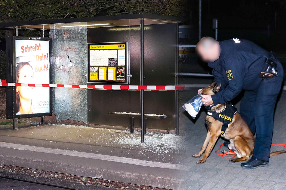 Unbekannter schießt in Dresden auf Haltestelle, doch weit kommt er nicht