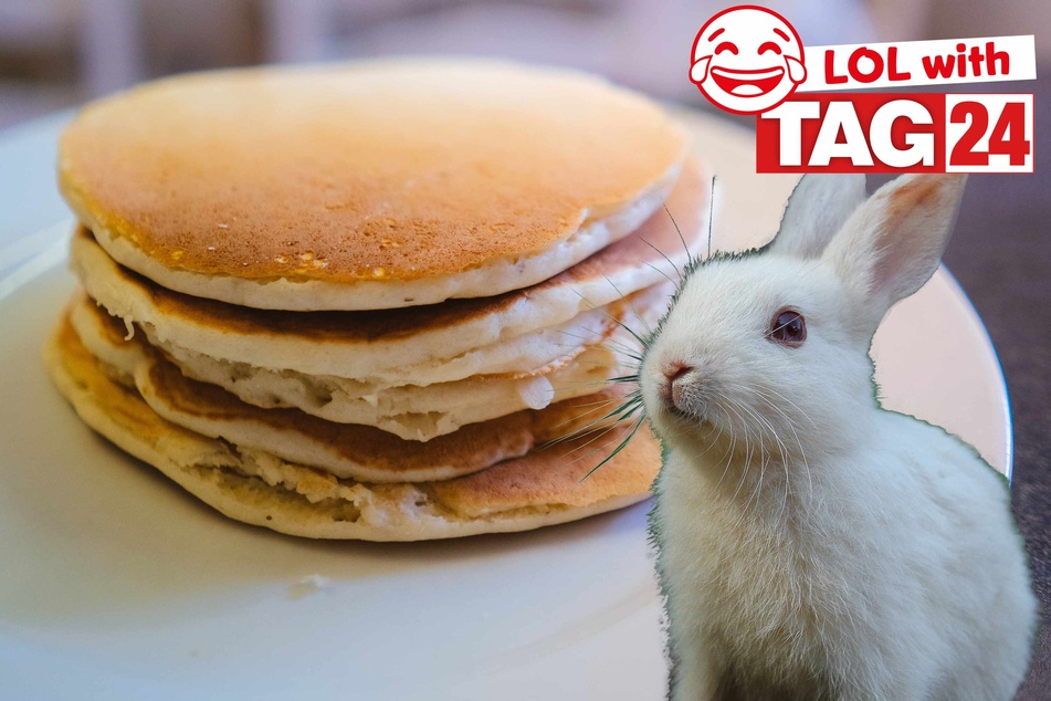 Some bunny loves pancakes in today's Joke of the Day!