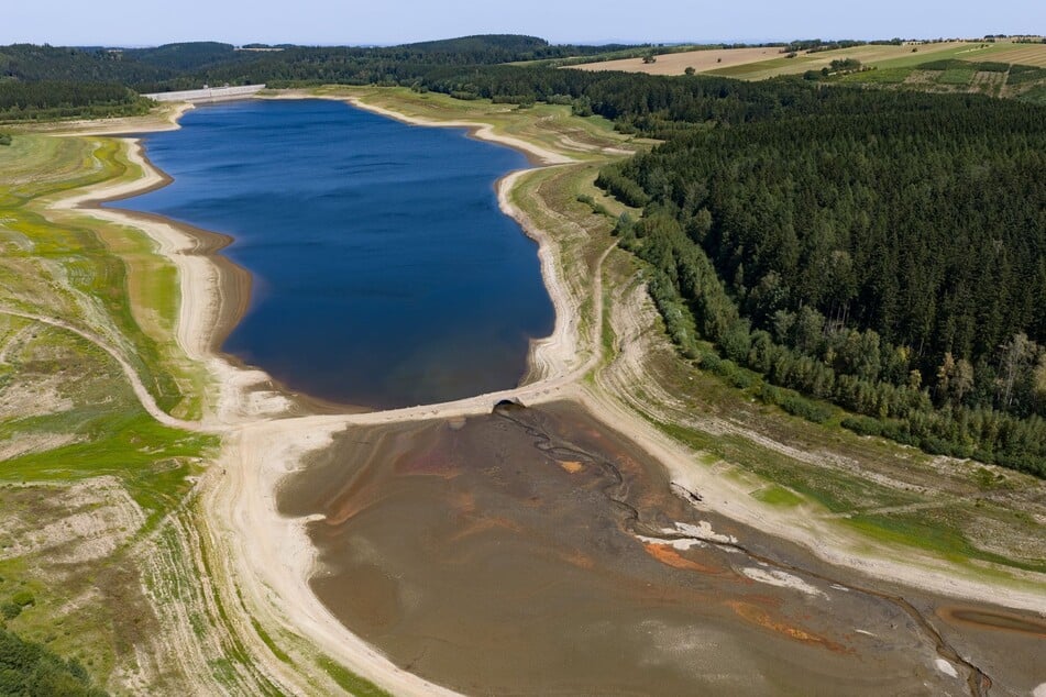 August 2026: Niedrigwasser in der Talsperre Lehnmühle im Osterzgebirge.