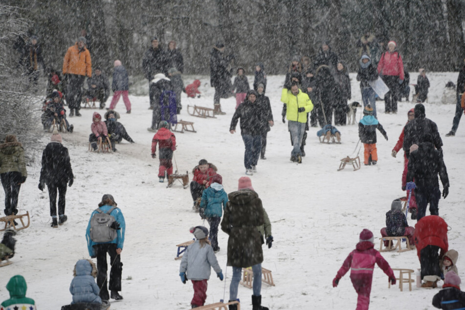 Zahlreiche Menschen sind beim ersten Schnee in der Hauptstadt am Rodelhügel im Grunewald unterwegs.