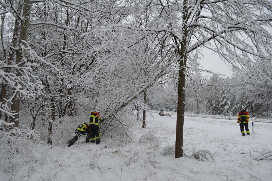 Auch an der S130 bei Krautz stürzten mehrere Bäume unter der Schneelast um, die Feuerwehr kam zum Einsatz.