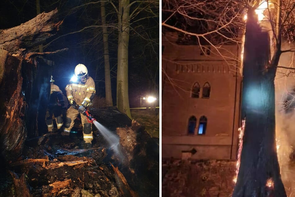 Alte Eiche in Flammen! Feuerwehr schützte Seifersdorfer Schinkel-Schloss