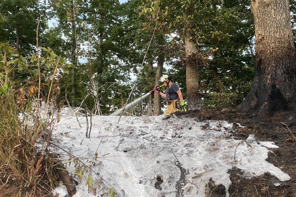 In einem Waldstück bei Solingen brannten rund 400 Quadratmeter Wald.